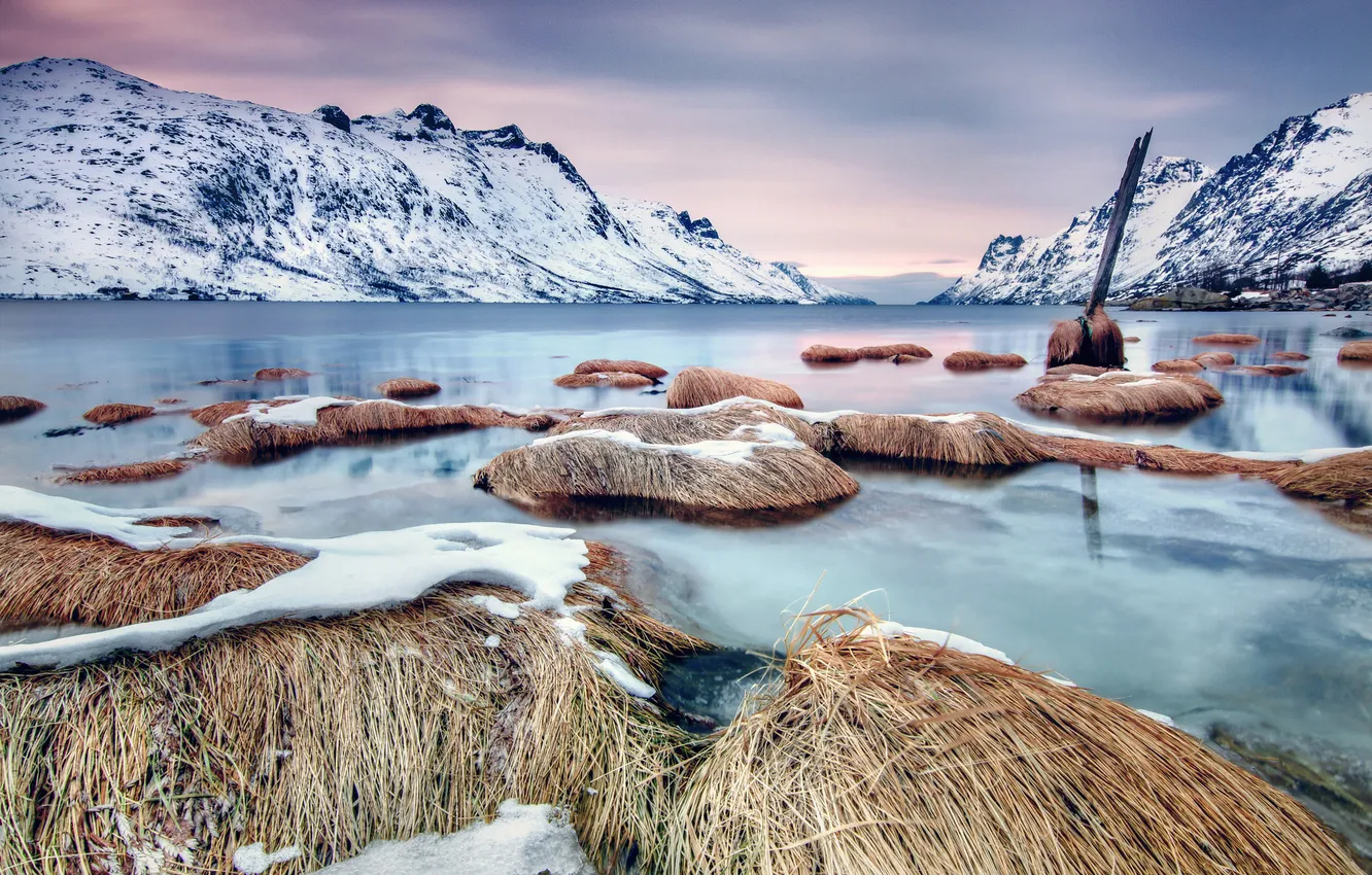 Фото обои лед, зима, трава, вода, снег, пейзаж, горы, природа