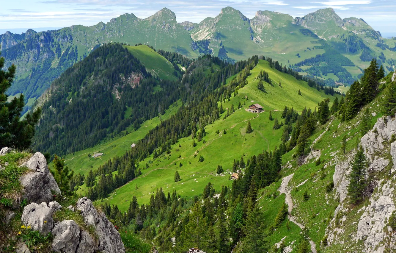 Фото обои лес, лето, горы, домик, Switzerland, швейцария, Gastlosen