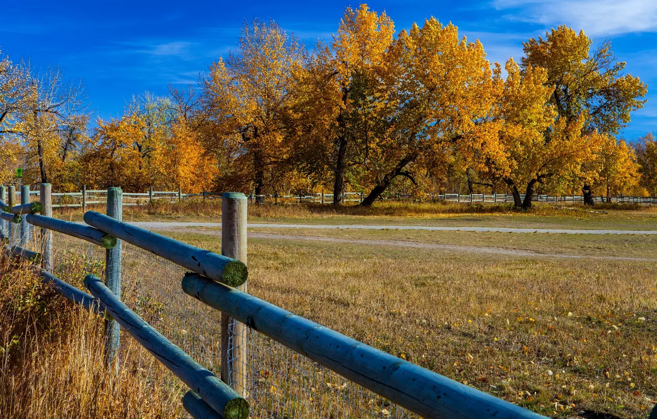 Фото обои осень, небо, деревья, забор, Канада, Альберта