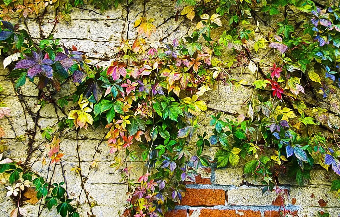 Фото обои осень, листья, стена, краски, рисунок, цвет, плющ