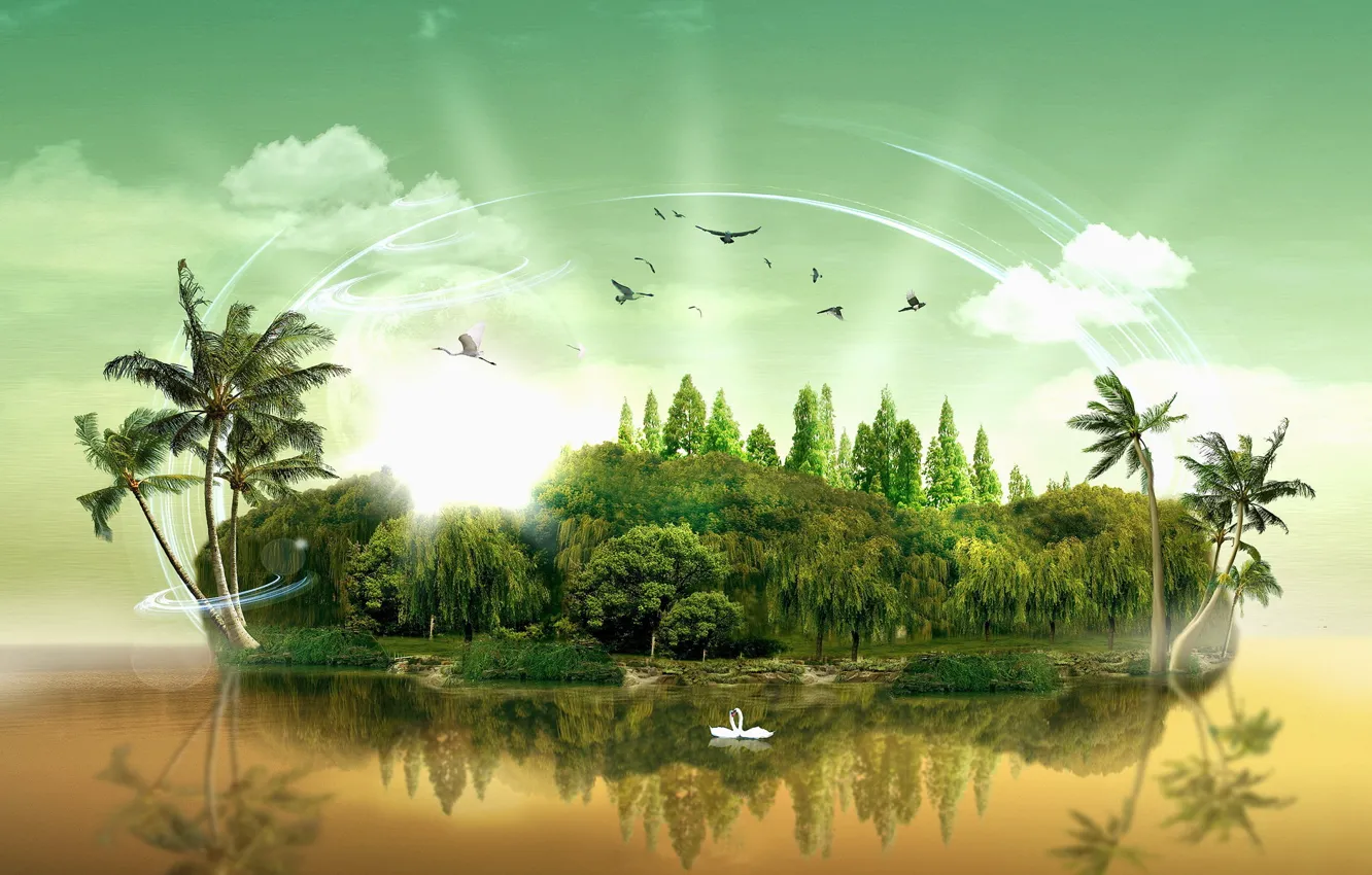 Фото обои вода, облака, деревья, пальмы, остров, птицы лебеди