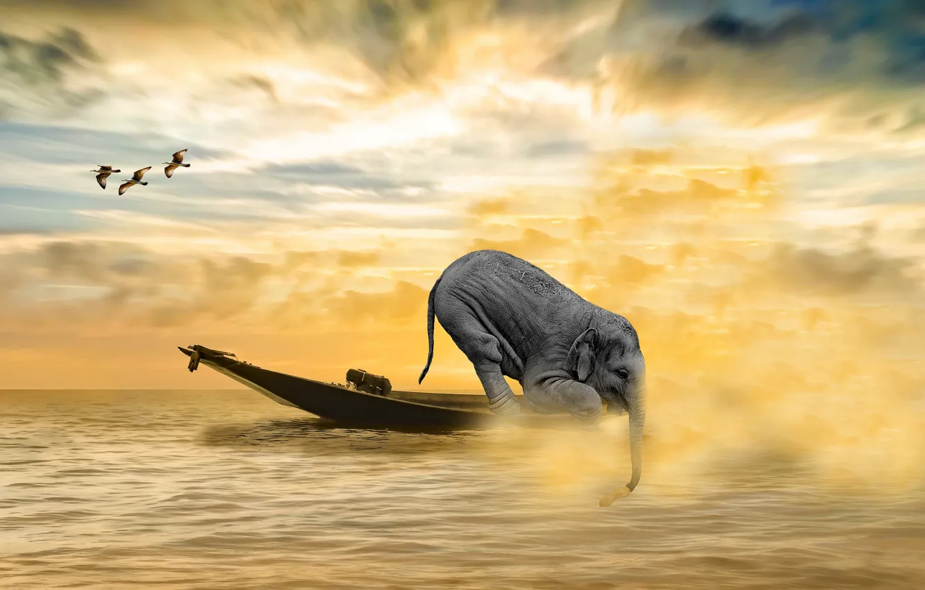 Фото обои море, рендеринг, лодка, слон, чайки, водоем