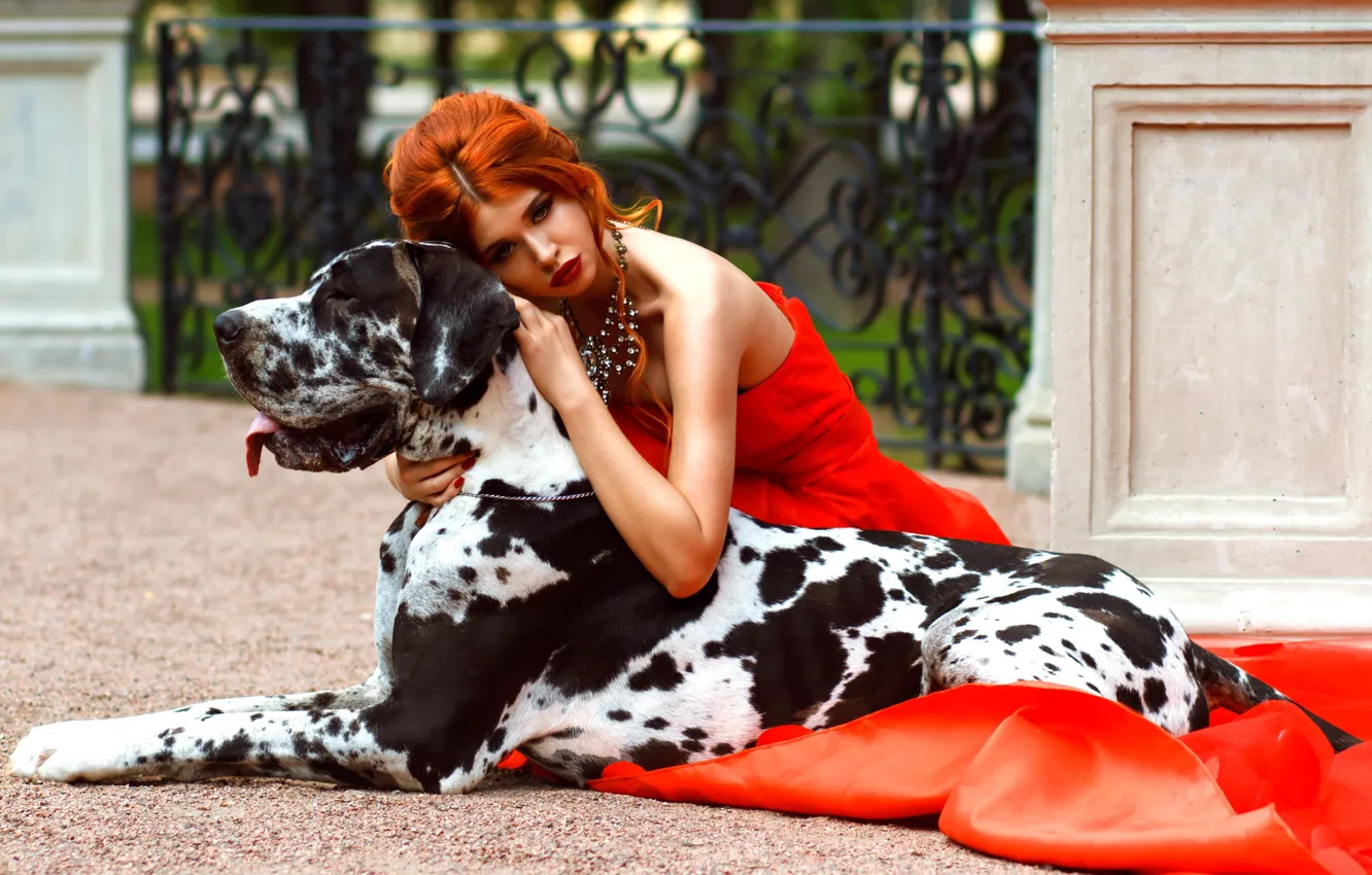 Фото обои девушка, стиль, настроение, модель, собака, макияж, рыжая, красное платье