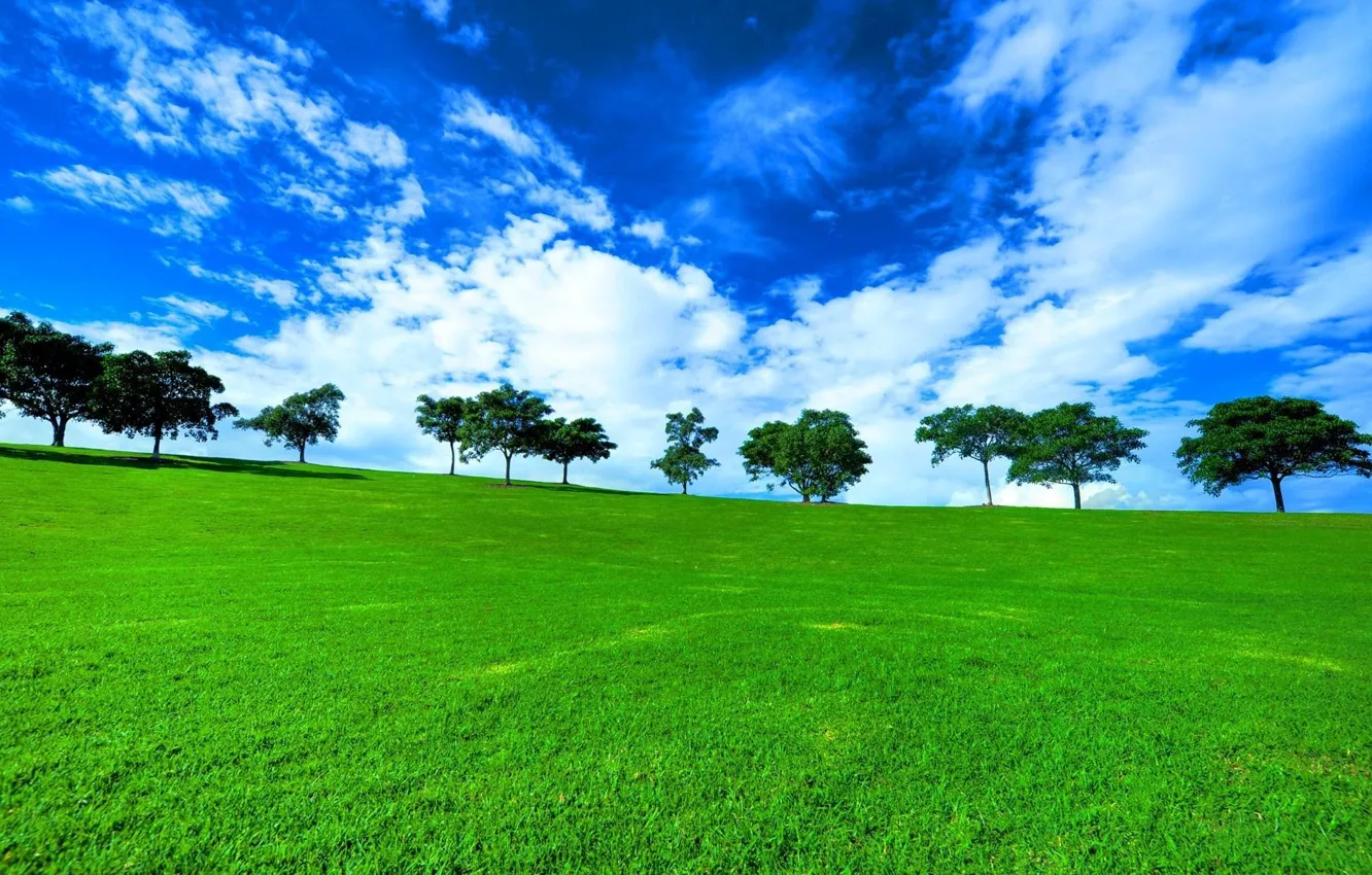 Фото обои зелень, поле, трава, деревья, пейзаж, природа, вид