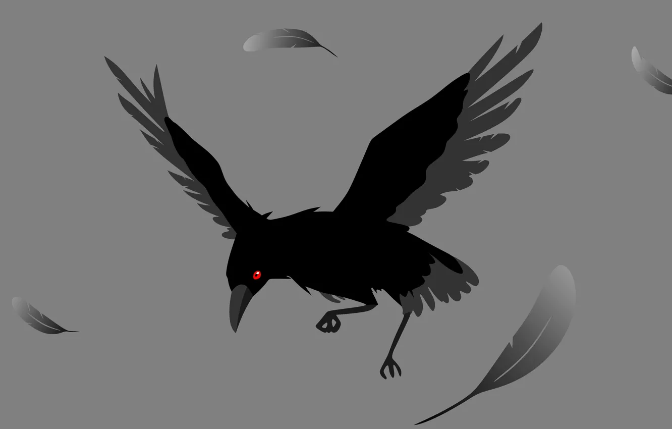 Фото обои перья, серый фон, ворона, красный глаз