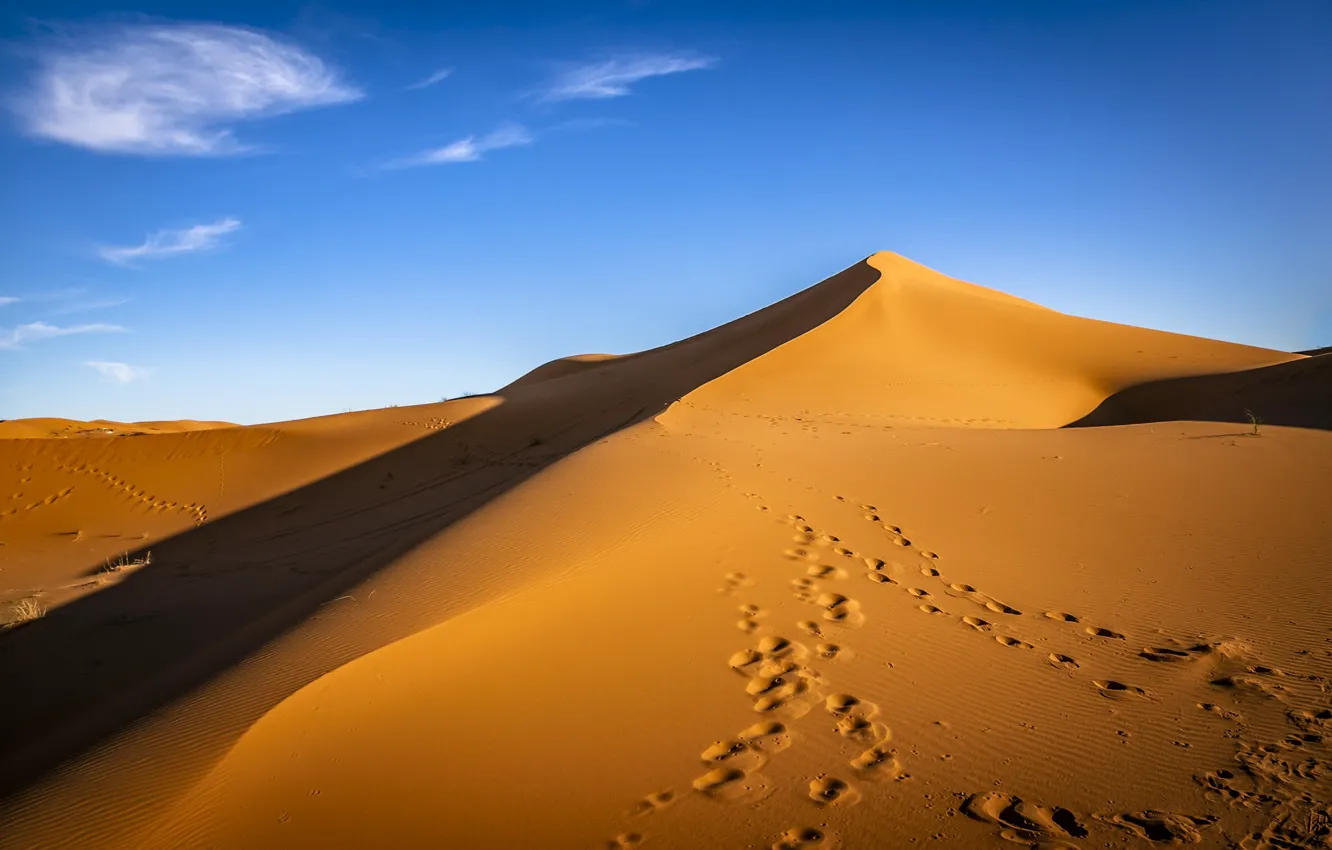 Фото обои песок, пустыня, Сахара