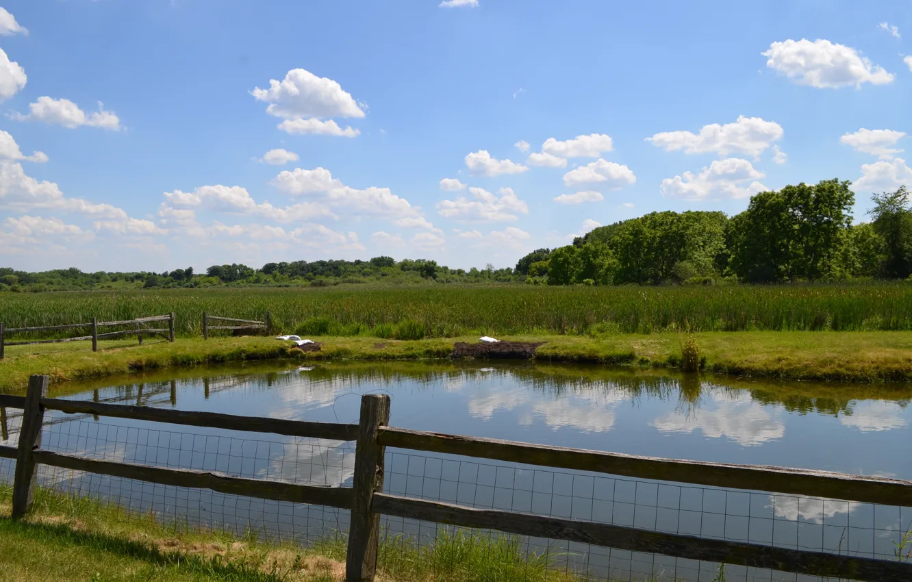 Фото обои Природа, Пруд, Поля, Nature, Pond, Fields