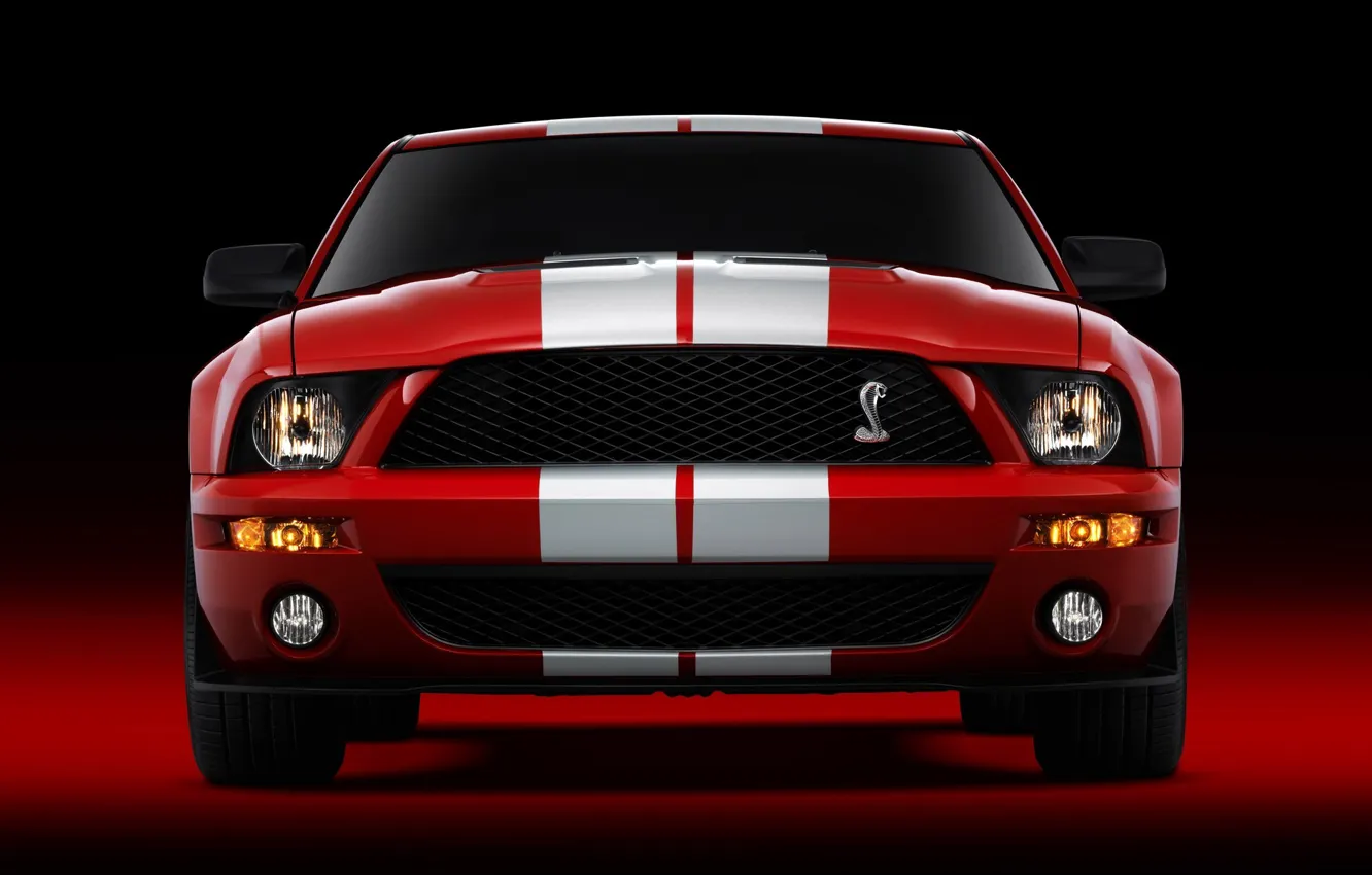 Фото обои Shelby, GT500, Cobra