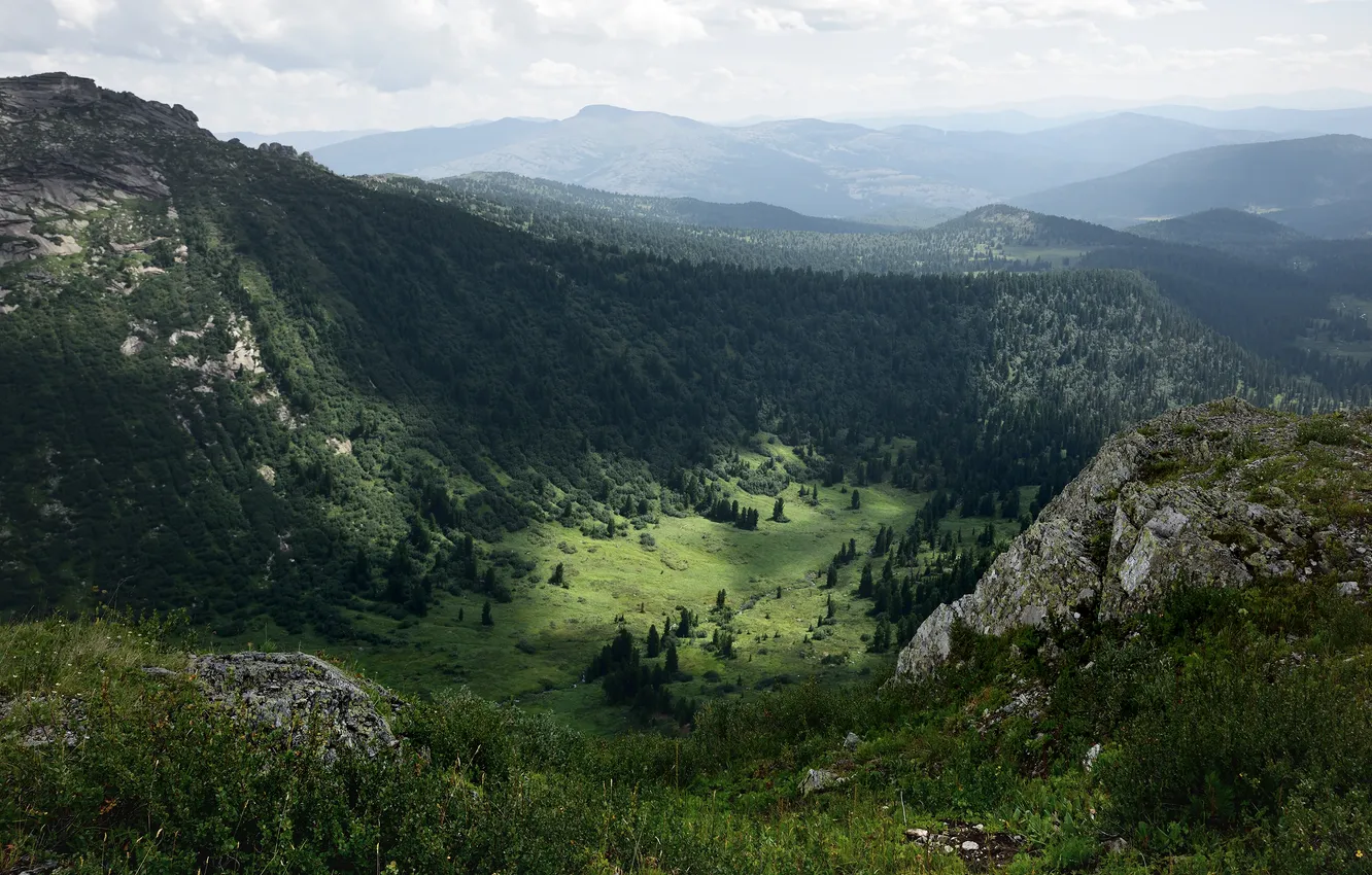Фото обои деревья, горы, горизонт, дымка, леса, горный пейзаж, Саяны, Алексей Никонов