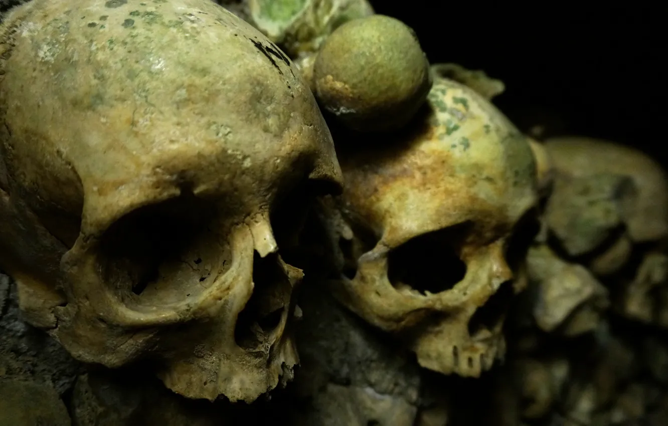 Фото обои skull, wall, bones, catacombs
