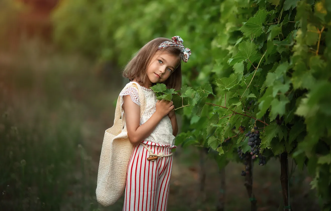 Фото обои портрет, виноград, девочка