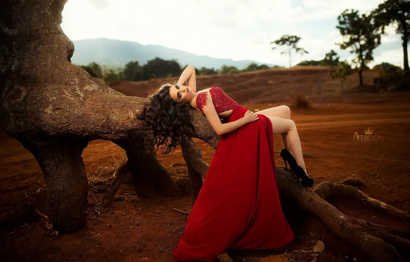 Фото обои девушка, поза, Karina