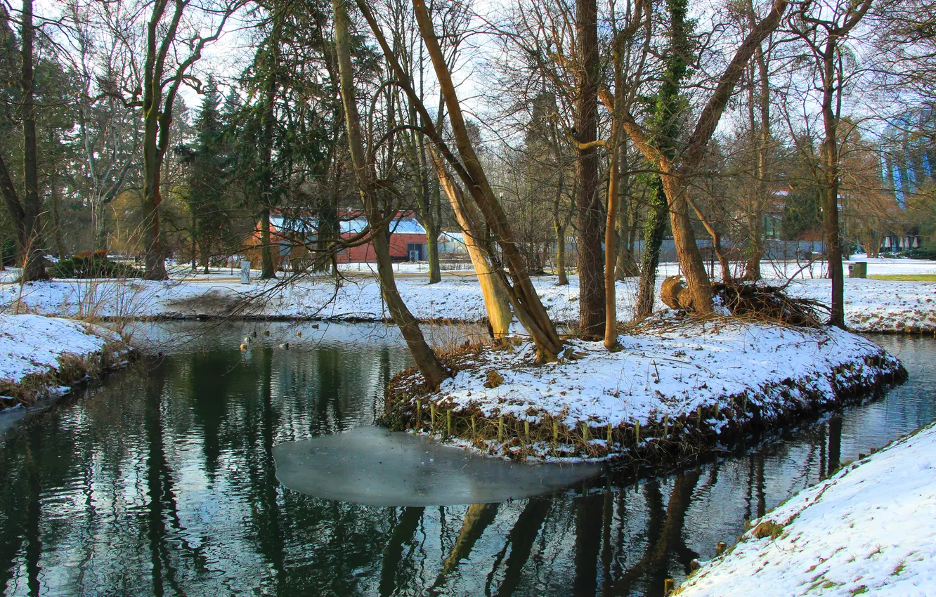 Фото обои water, park, lake, pond