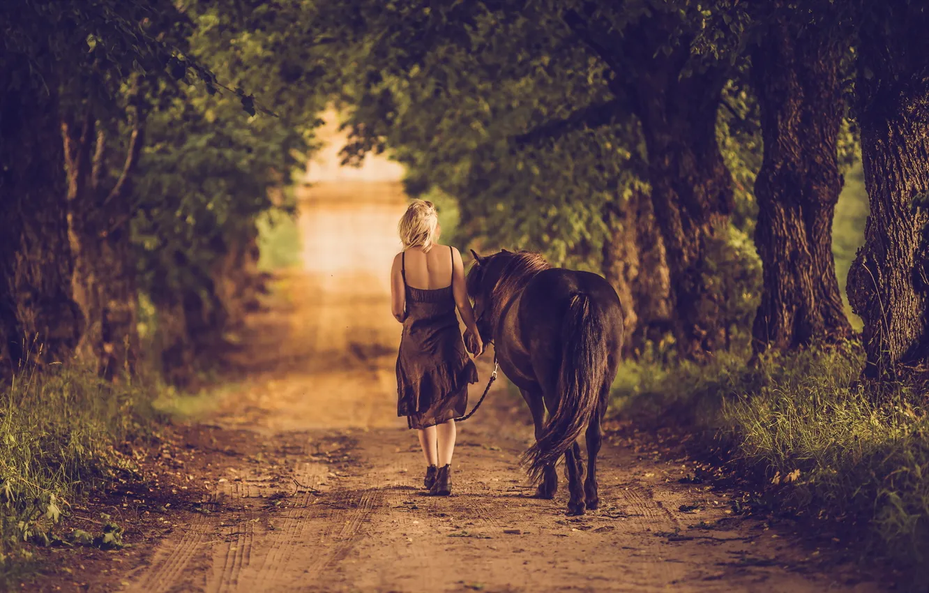 Фото обои дорога, девушка, настроение, конь
