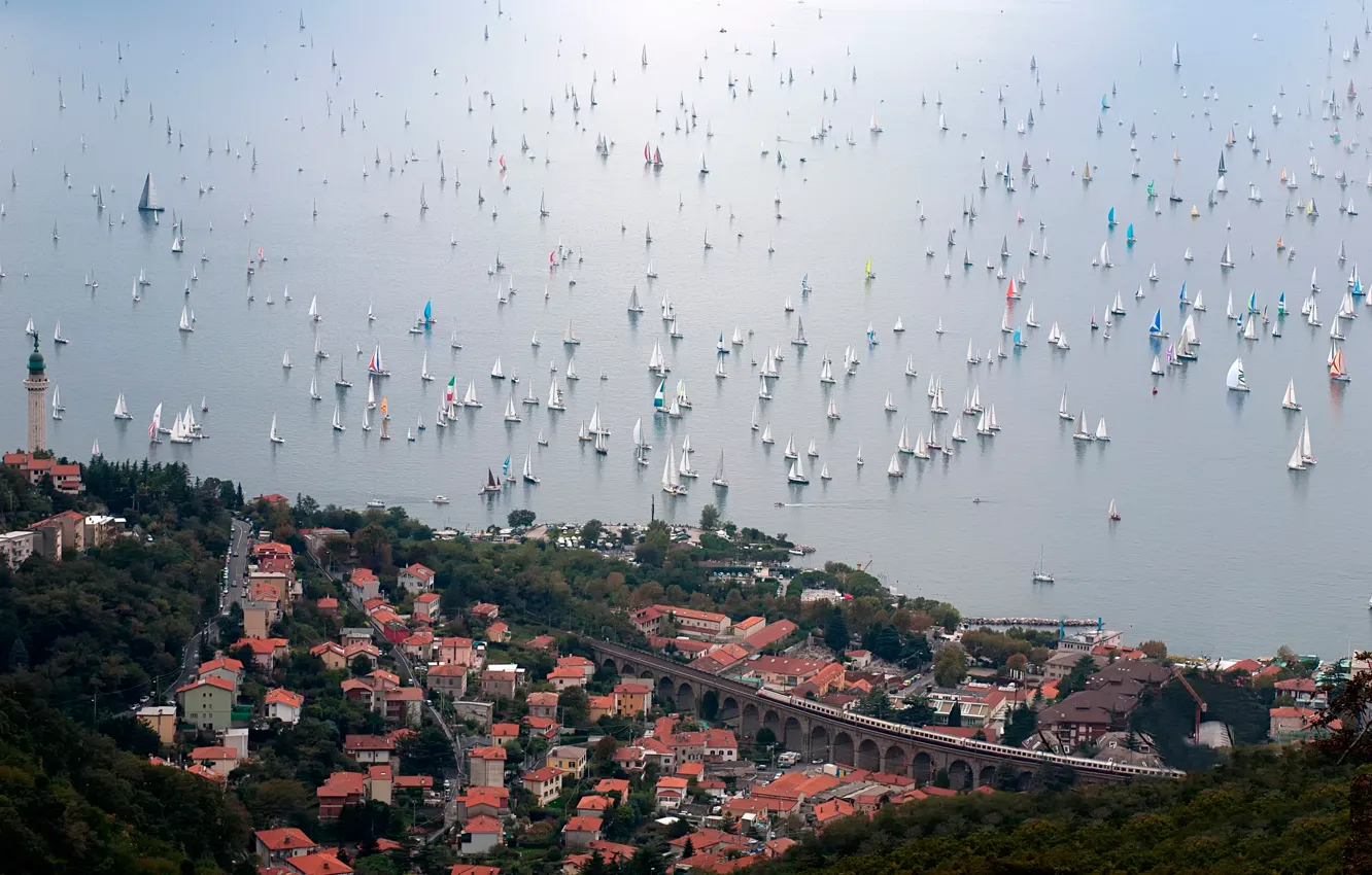 Фото обои Италия, регата, Триест, Barcolana 2014