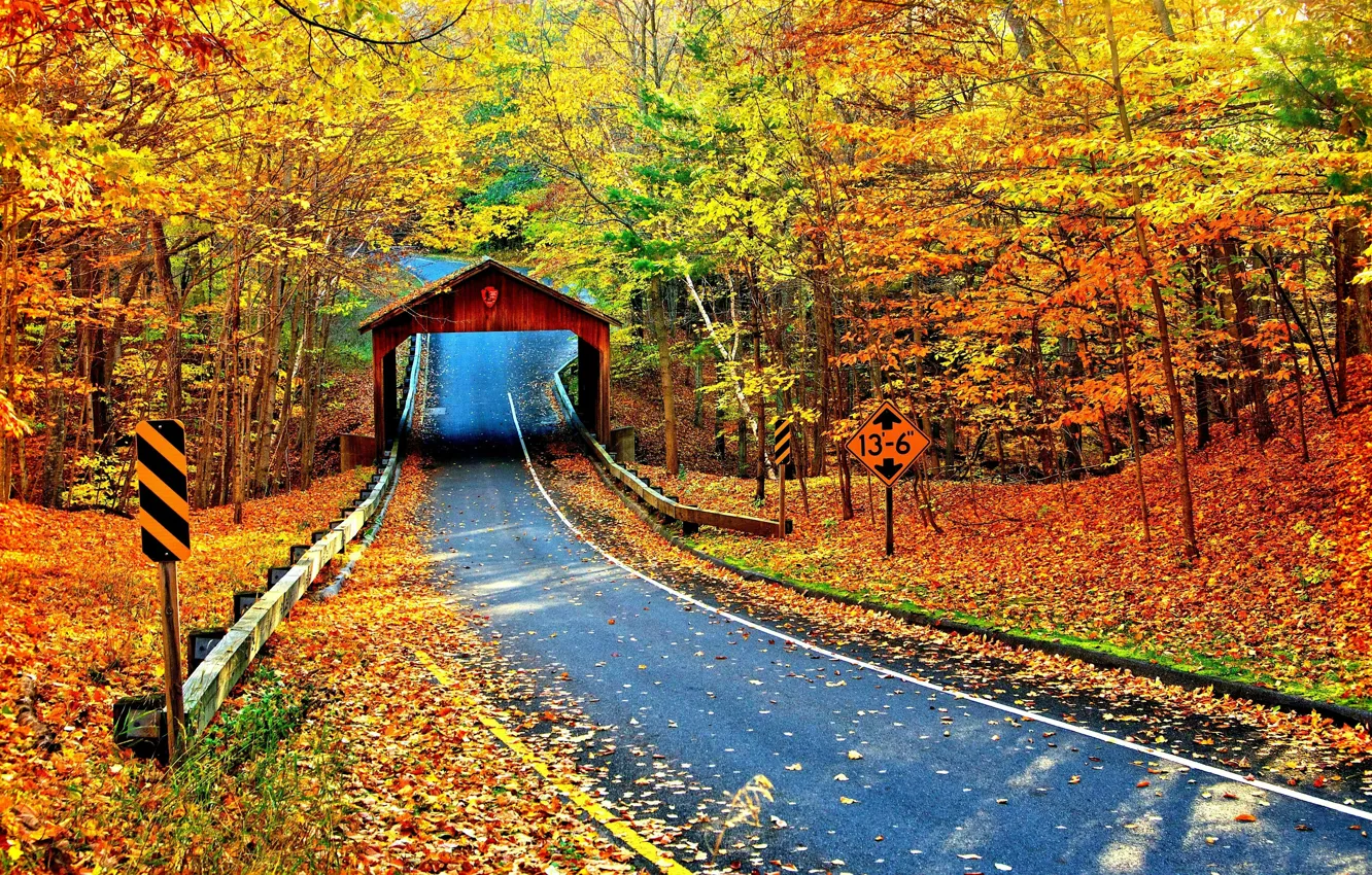 Фото обои nature, autumn, highway, cambron covered bridge