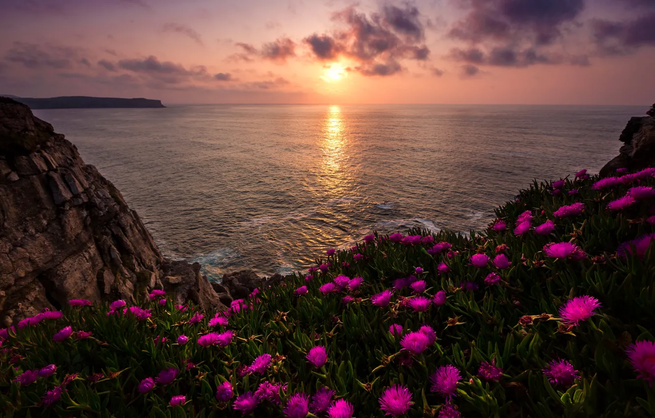 Фото обои море, солнце, облака, свет, пейзаж, закат, цветы, природа