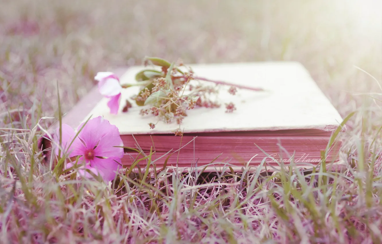 Фото обои цветок, трава, книга