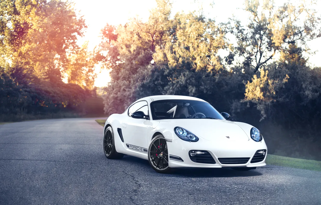 Фото обои Porsche, Cayman, white, front