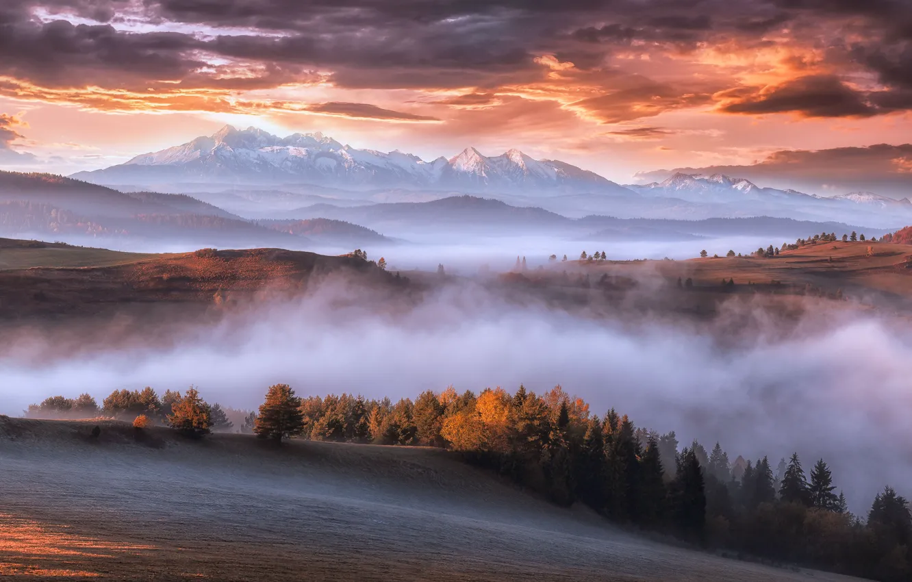 Фото обои осень, горы, туман, утро, Карпаты