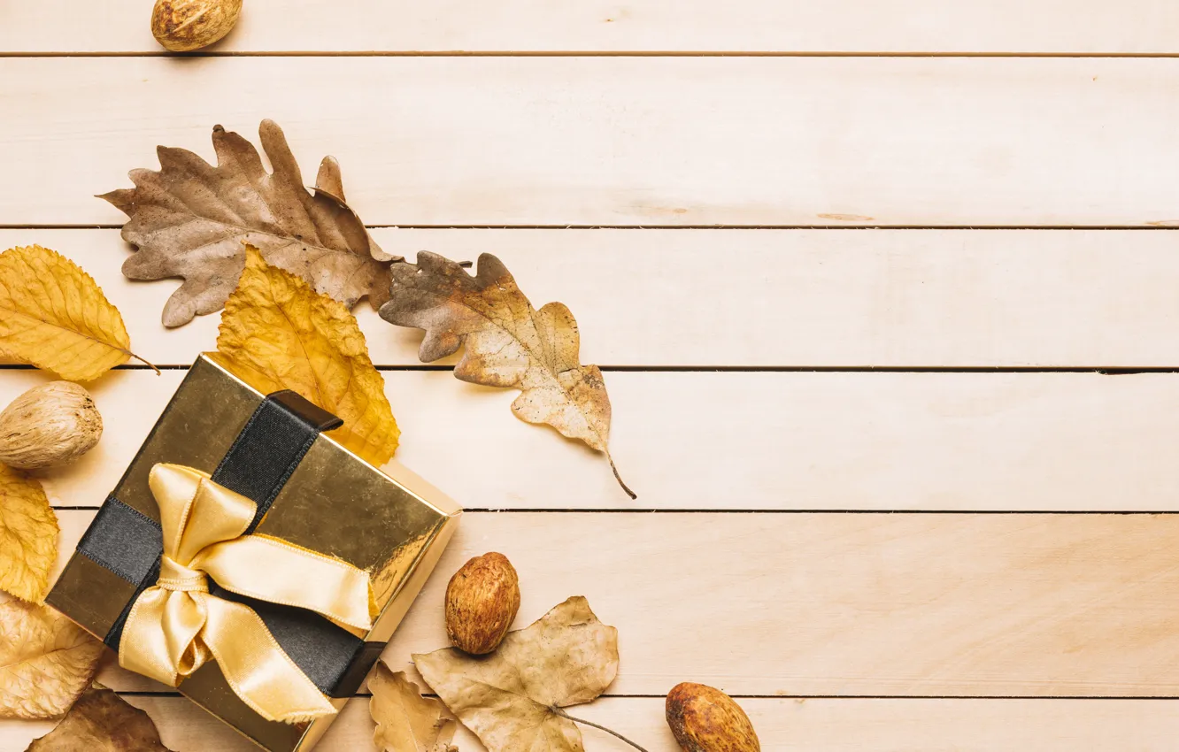 Фото обои осень, листья, фон, дерево, подарок, colorful, лента, орехи