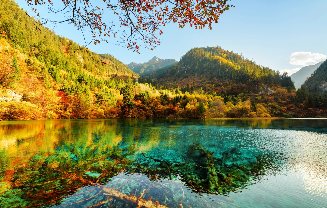 Фото обои осень, лес, небо, солнце, деревья, горы, озеро, парк