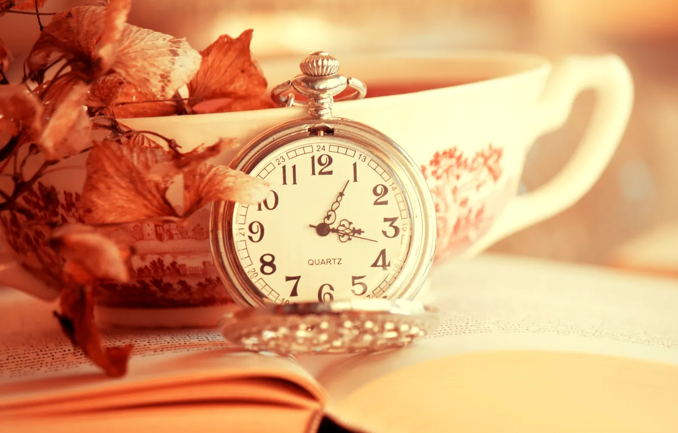 Фото обои листья, время, часы, чашка, книга, циферблат, leaves, cup