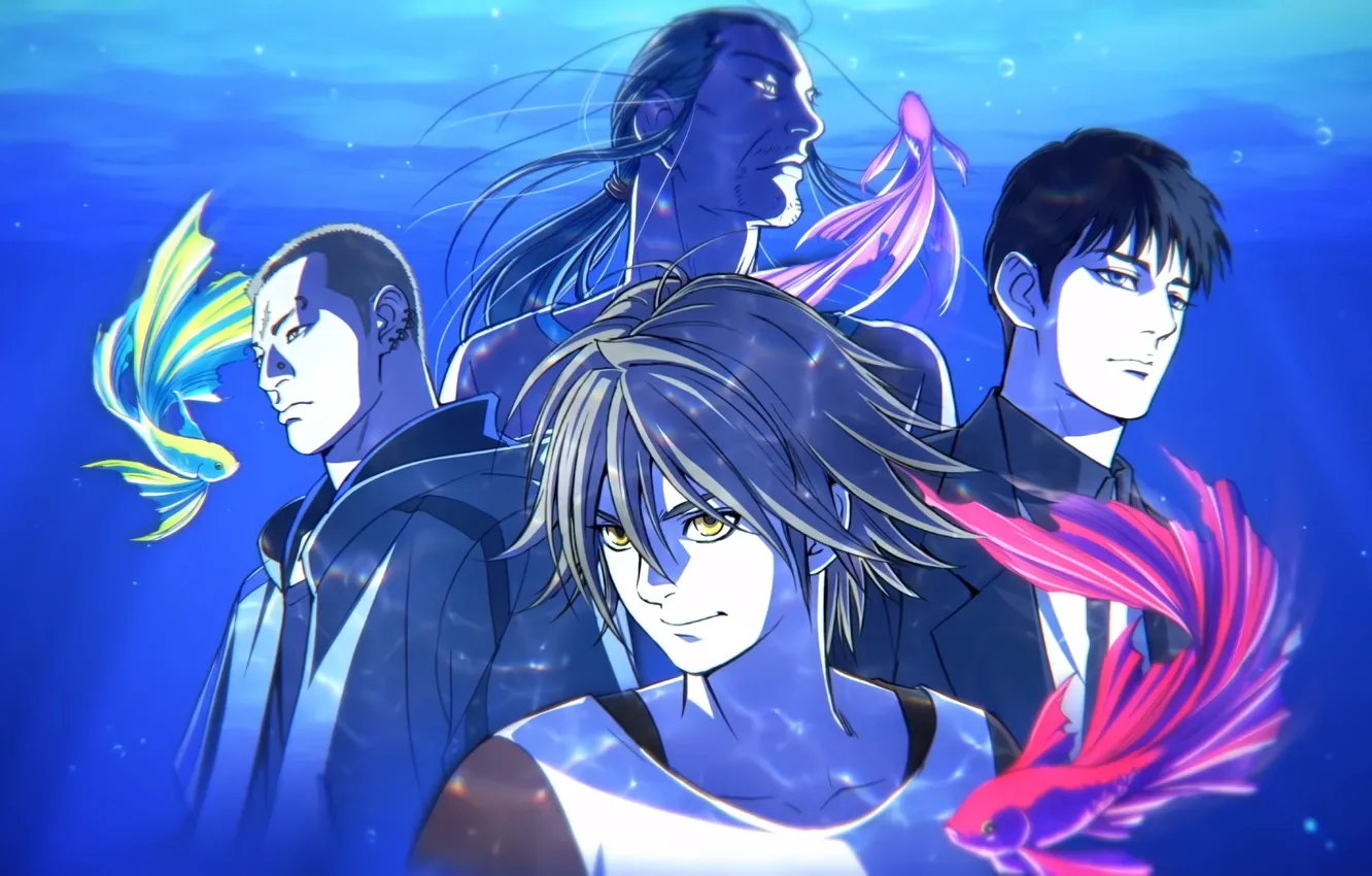 Фото обои рыбки, рыба, парень, pet