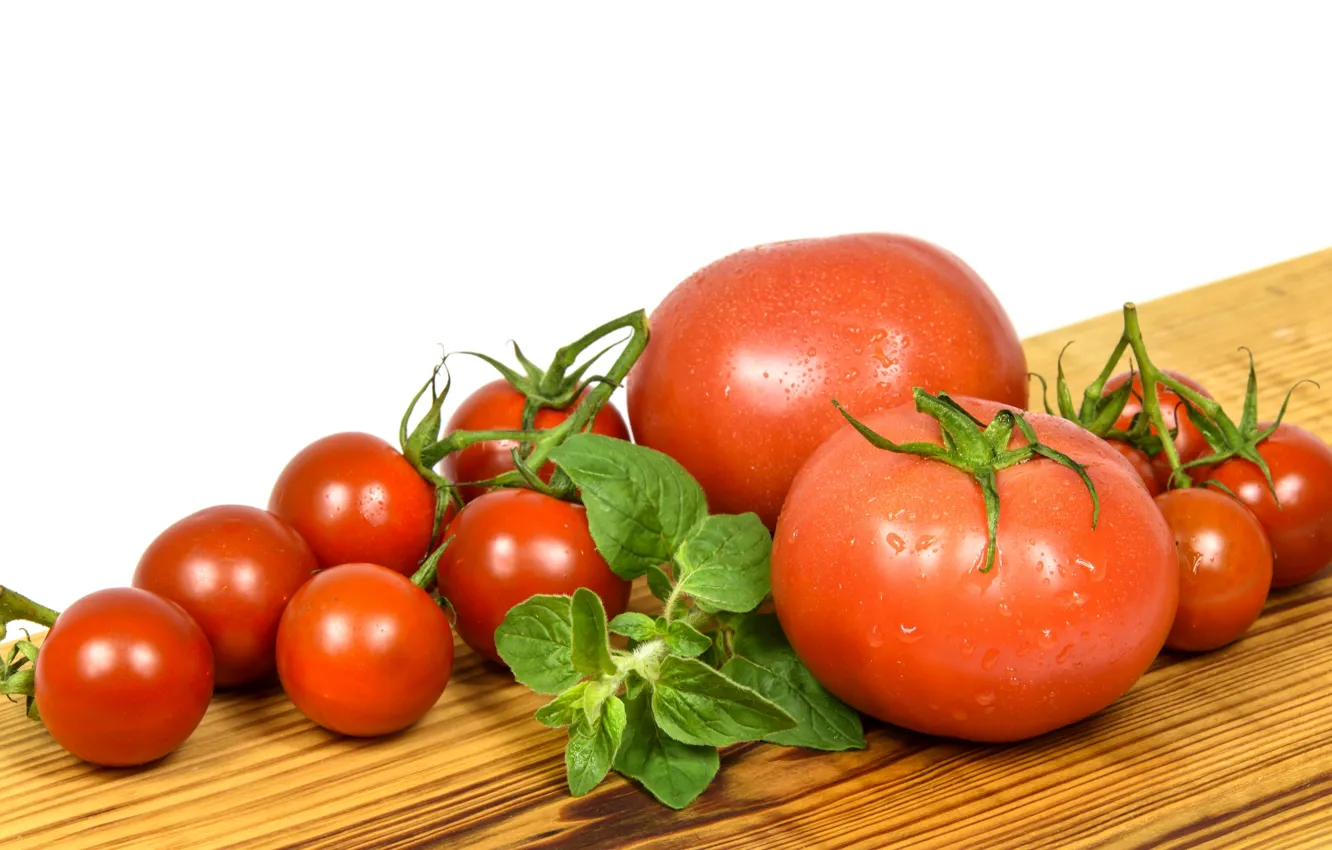 Фото обои помидоры, томаты, базилик