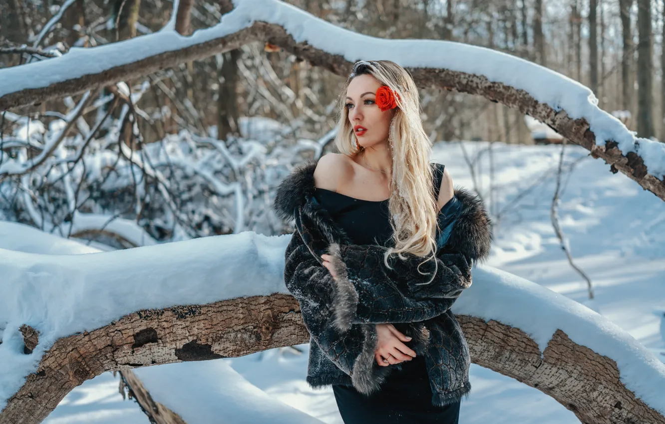 Фото обои зима, цветок, девушка, снег, природа, поза, блондинка, плечо