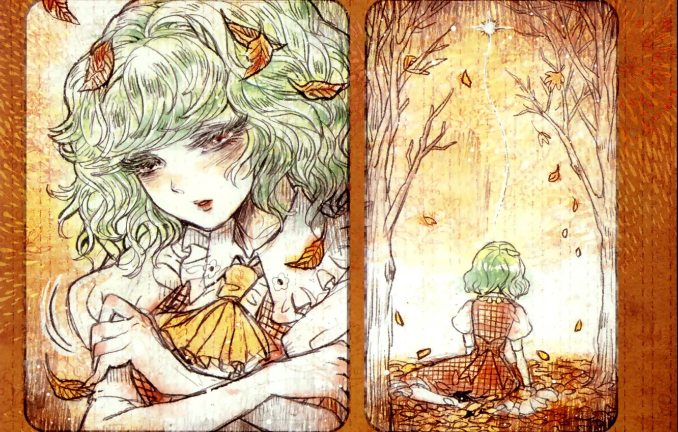 Фото обои грусть, лицо, одиночество, бант, листопад, touhou, осенние листья, белая блузка