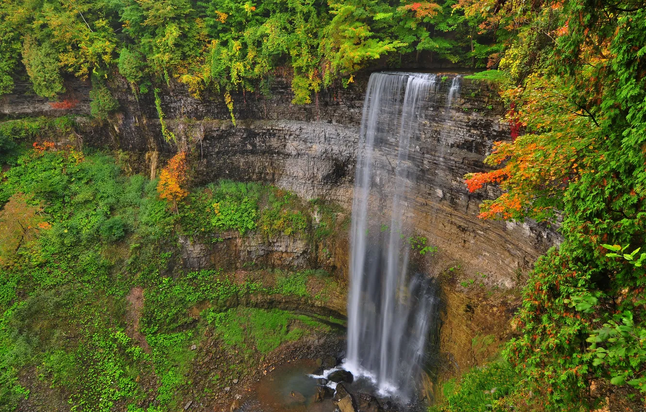 Фото обои осень, листья, деревья, скалы, водопад