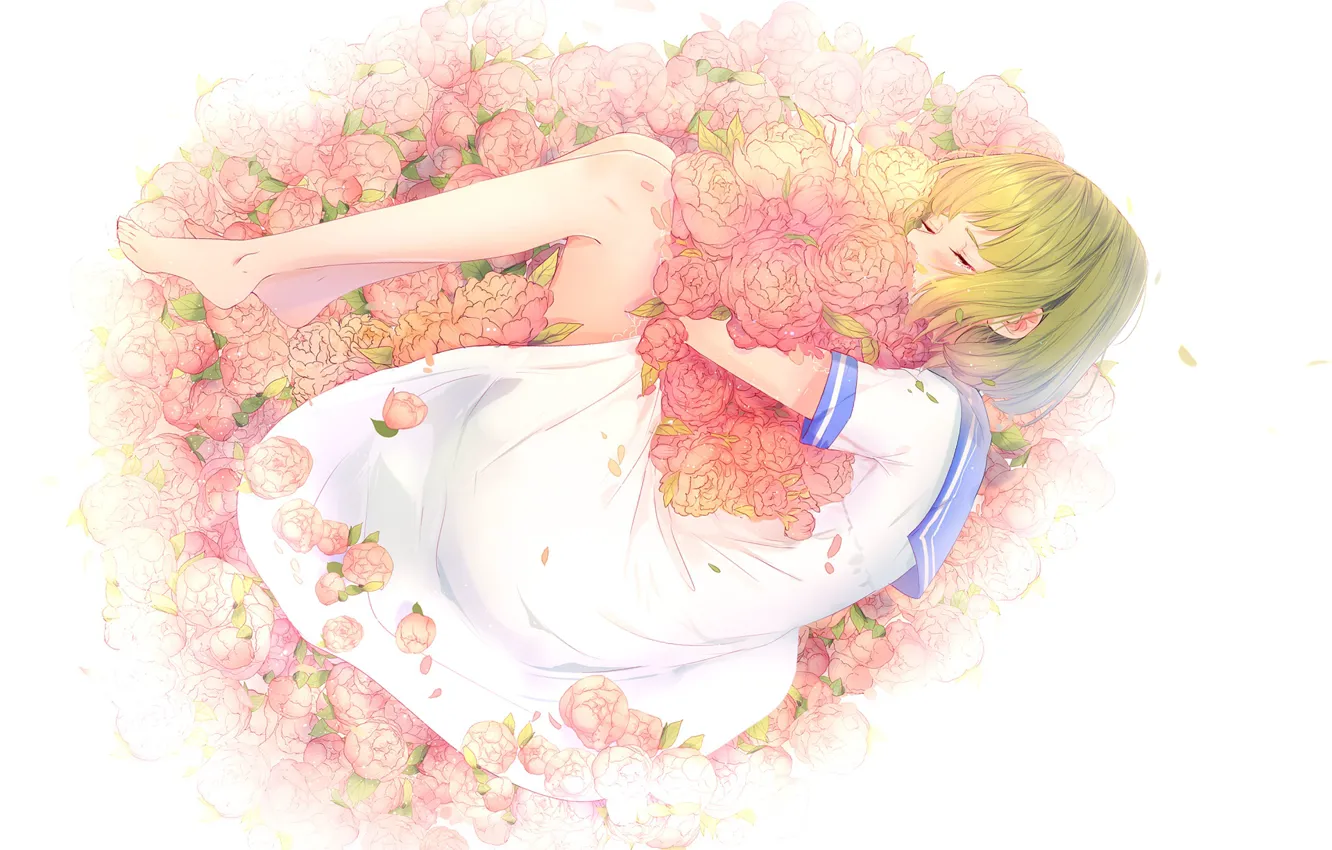 Фото обои девушка, цветы, аниме, лежит