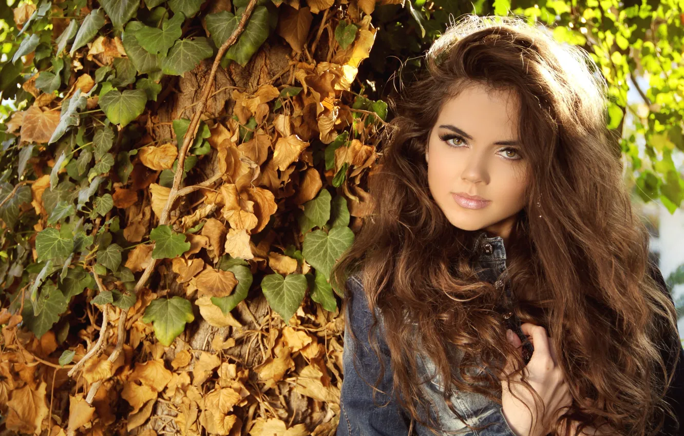 Фото обои осень, девушка, листва, модель, красавица