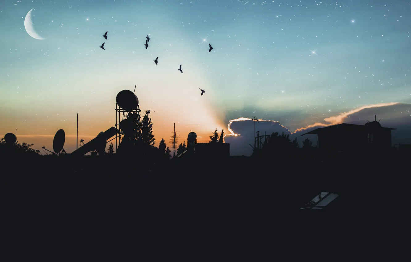 Фото обои city, landscape, nature, bird, sunset, night, land, beatiful