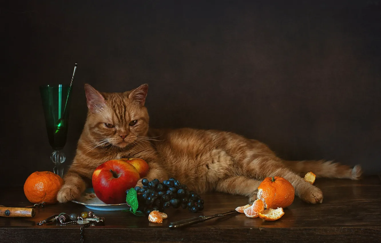 Фото обои яблоки, бокал, виноград, мандарины, рыжий кот, котейка