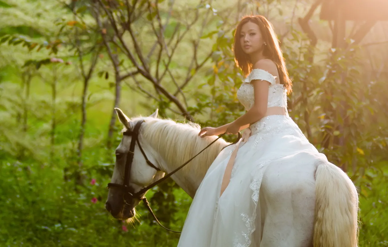 Фото обои девушка, свет, конь, азиатка, мгла