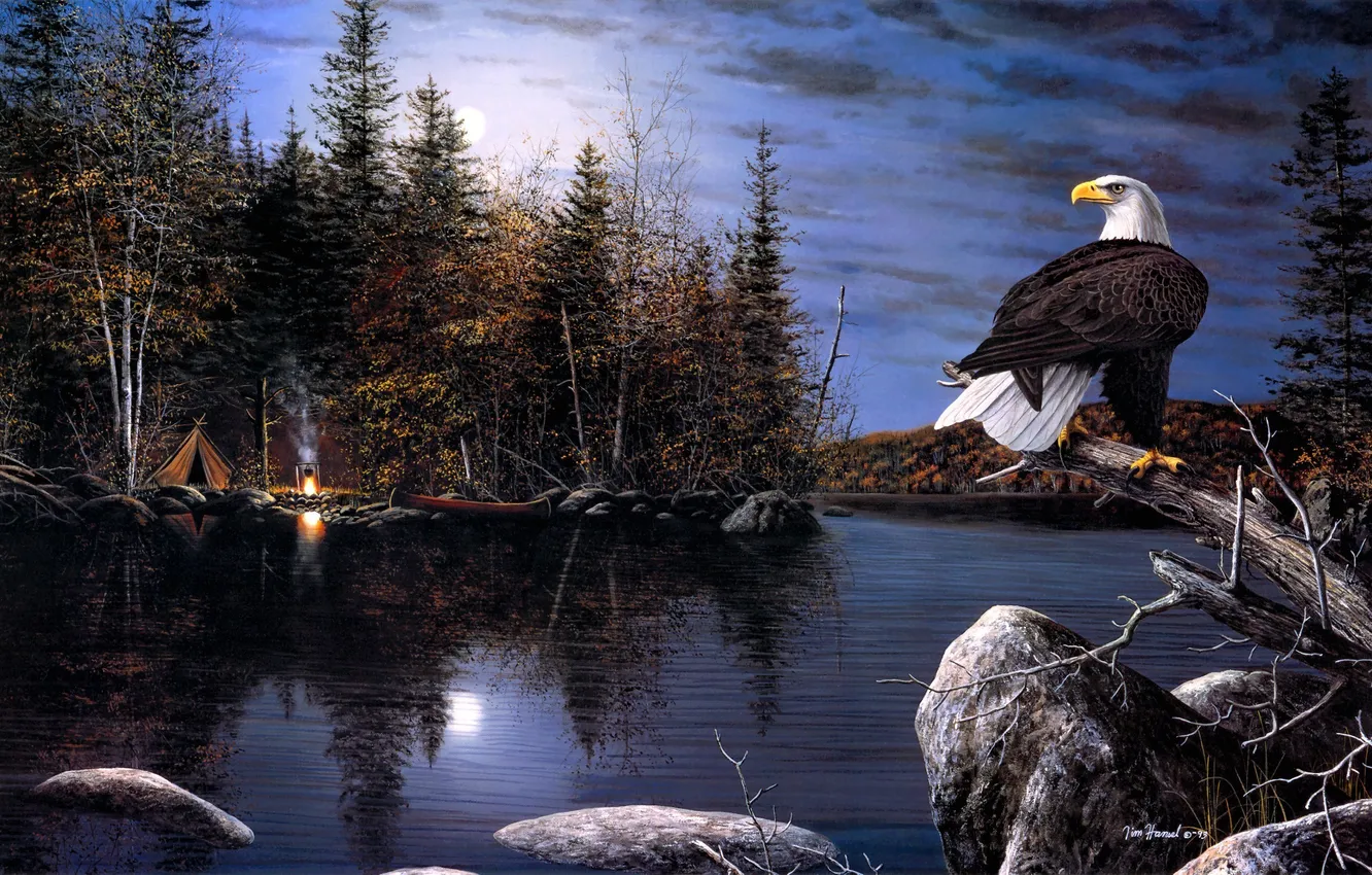 Фото обои осень, ночь, река, орел, луна, лодка, костер, палатка