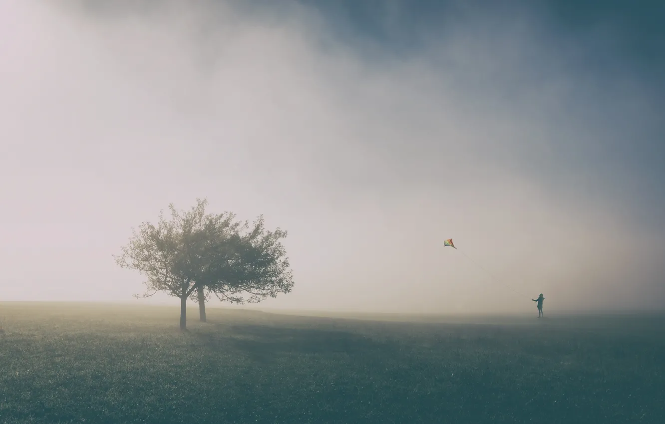 Фото обои деревья, человек, воздушный змей, trees, man, kite, Uschi Hermann