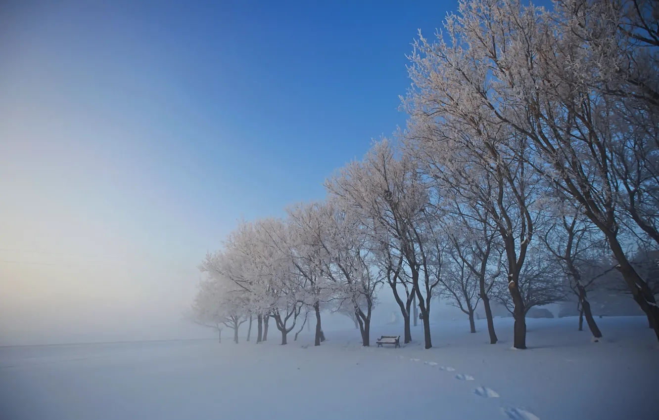 Фото обои зима, снег, деревья, следы, туман, лавочка