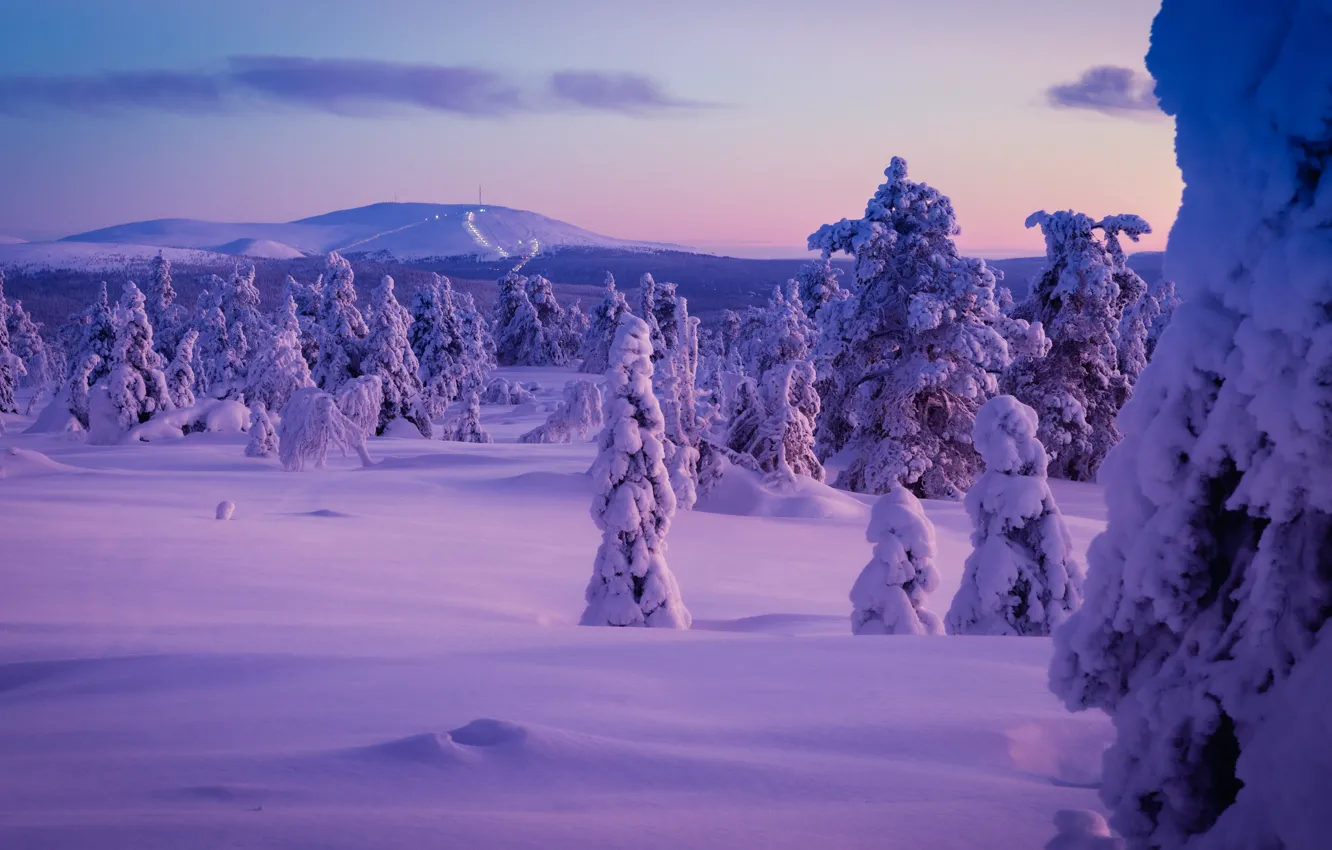 Фото обои зима, снег, деревья, сугробы, Финляндия, Finland, Lapland, Лапландия