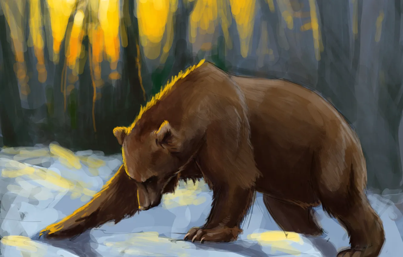 Фото обои лес, снег, закат, медведь, арт, солнечные лучи, Brown bear