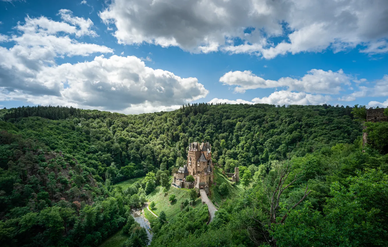 Фото обои лес, деревья, замок, Германия, Castle Eltz