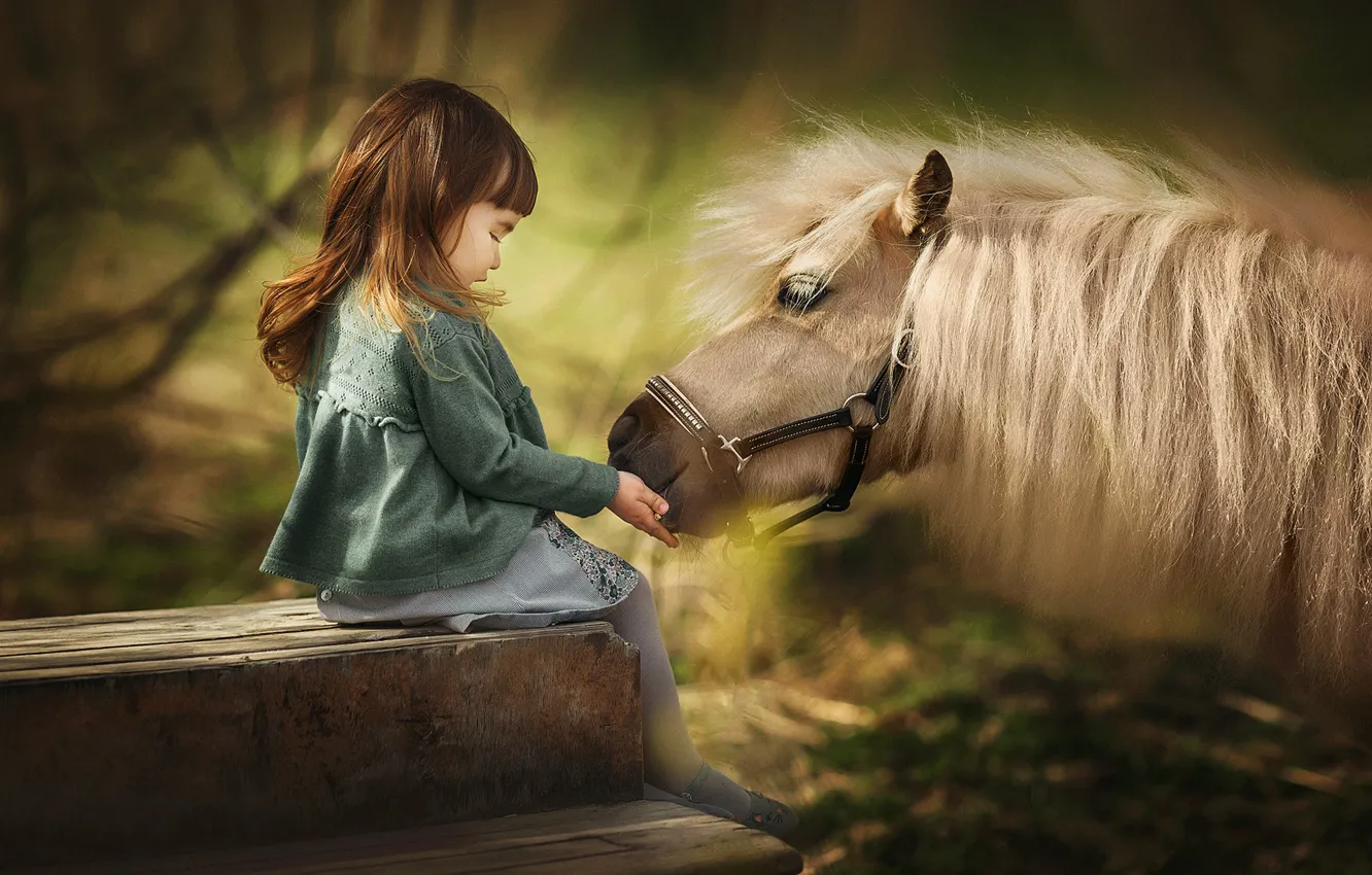 Фото обои грива, девочка, пони, друзья, лошадка