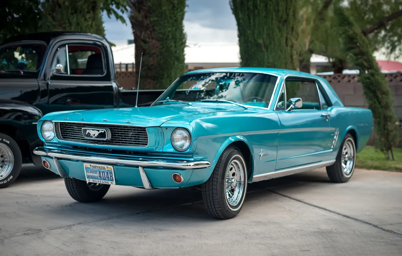 Фото обои Mustang, Ford, классика, передок