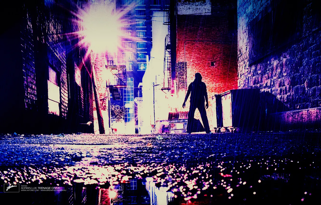 Фото обои Обои, Wallpaper, Акстон, Axtone