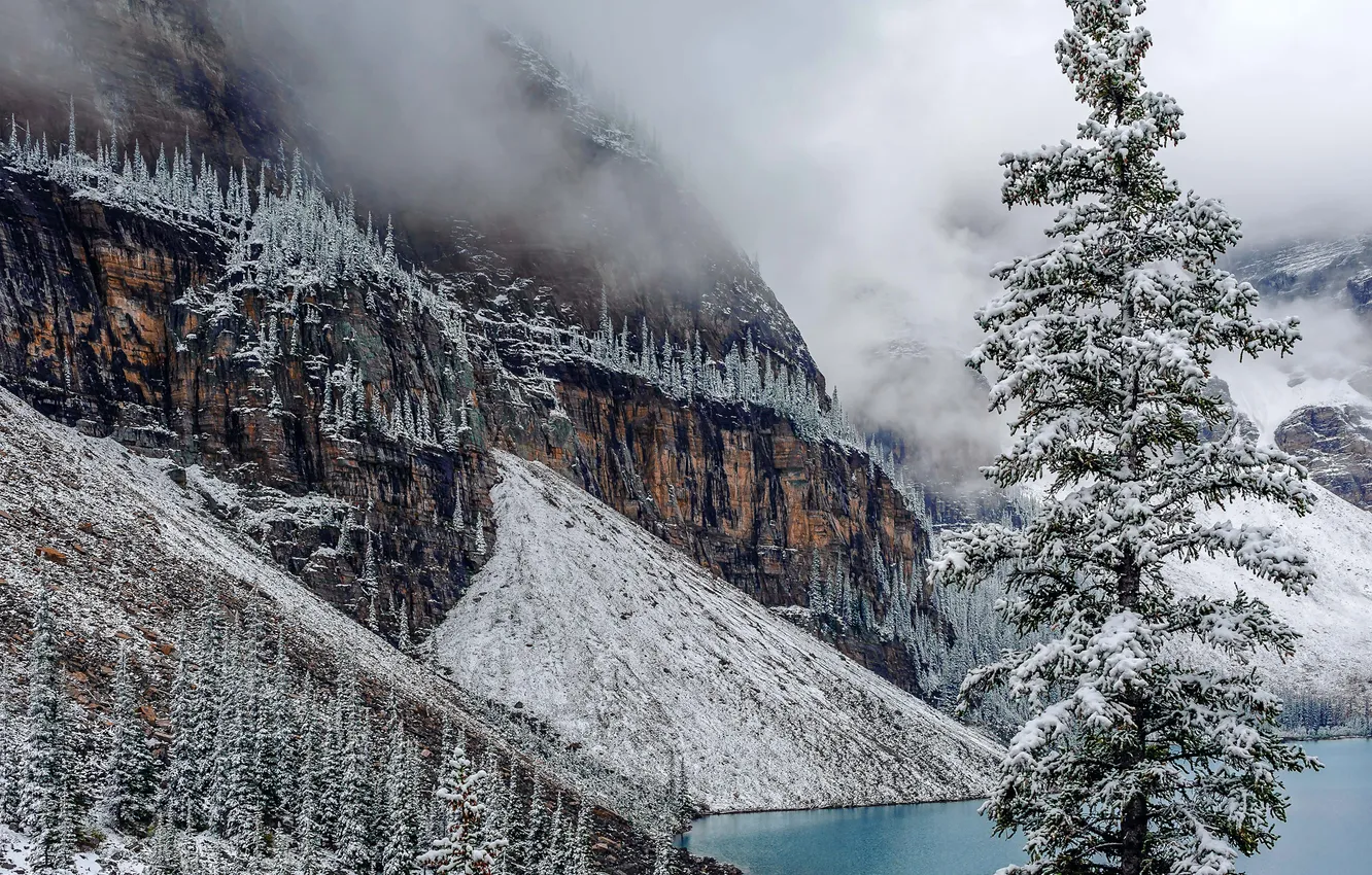 Фото обои зима, снег, деревья, горы, озеро