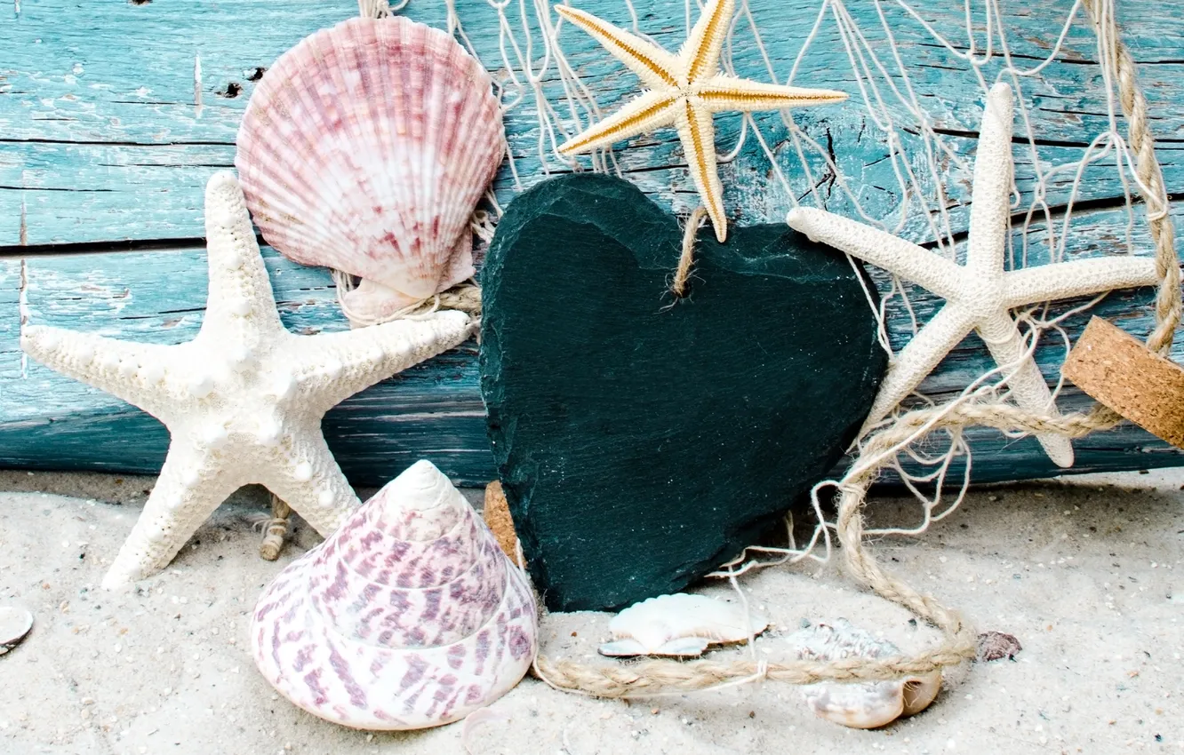 Фото обои песок, пляж, звезды, ракушки, beach, wood, sand, marine