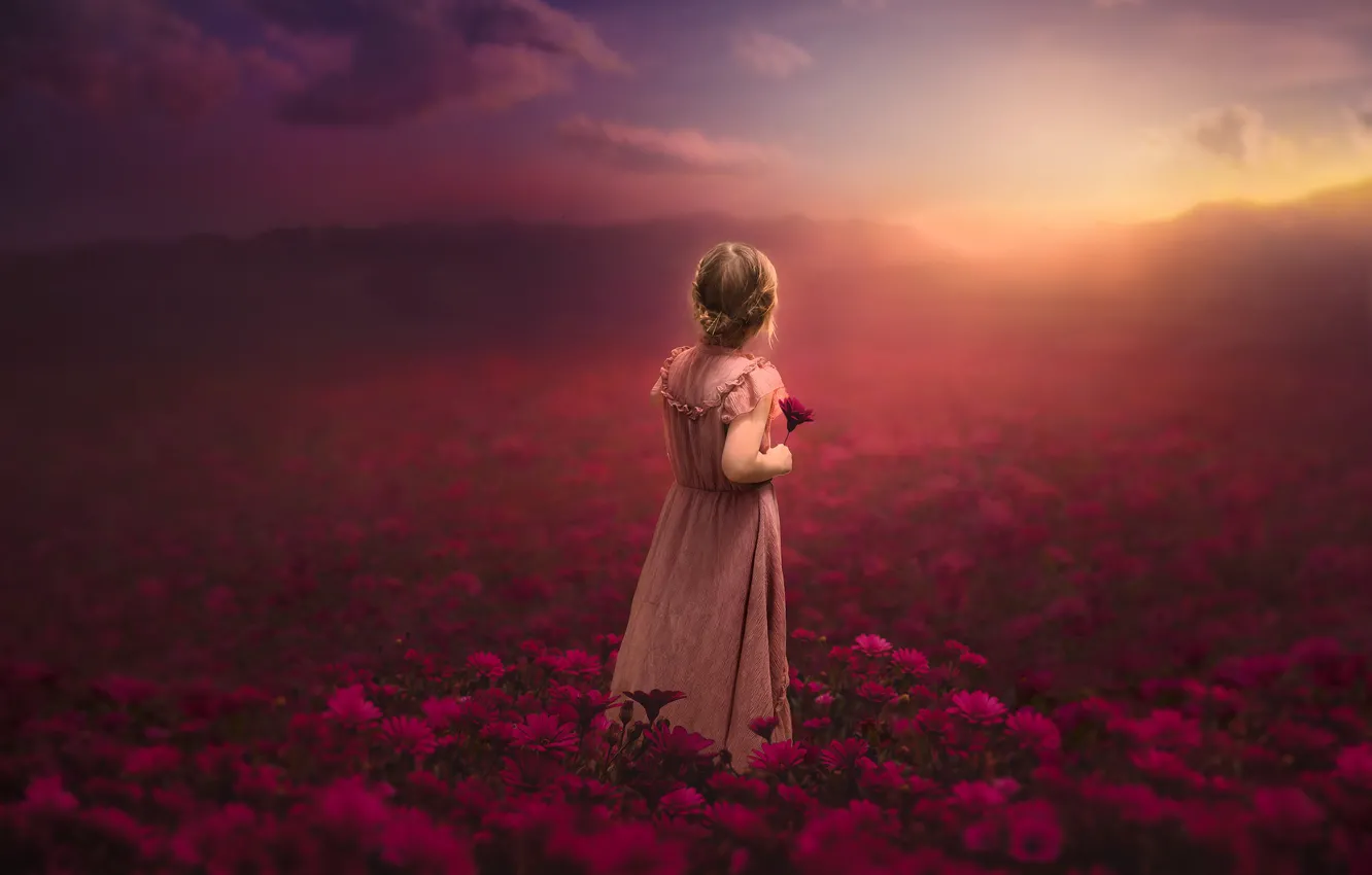 Фото обои закат, цветы, луг, девочка