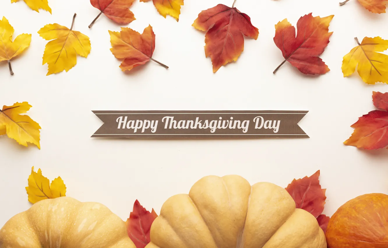 Фото обои осень, листья, тыква, autumn, leaves, pumpkin, thanksgiving, День Благодарения